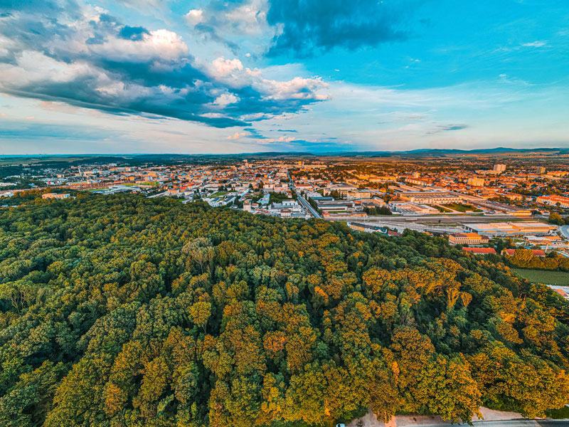 Wie viel Wald braucht eine Stadt?