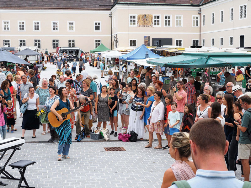 Wer singt mit am Domplatz?